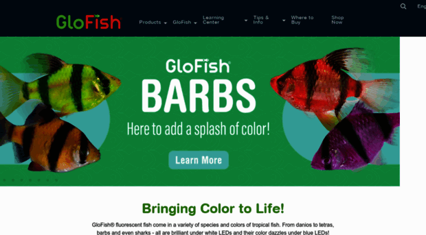 glofish.com