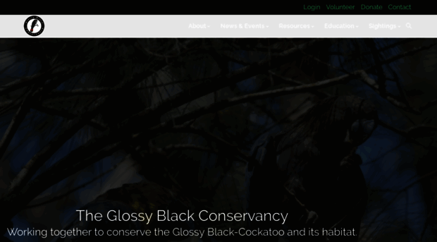 glossyblack.org.au