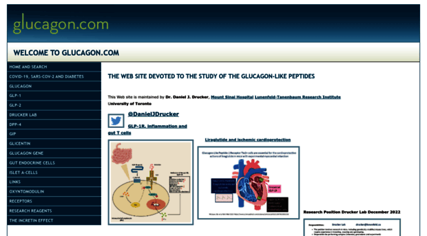 glucagon.com