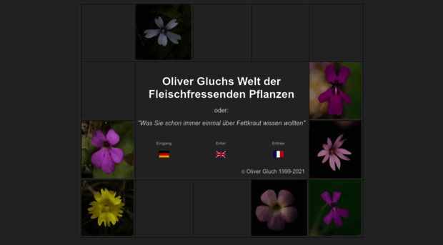 gluch.info