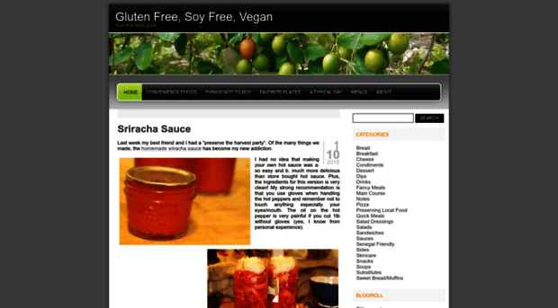 glutenfreesoyfreevegan.wordpress.com