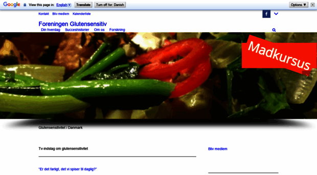 glutensensitiv.dk