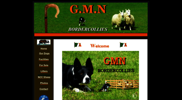 gmnbordercollies.com