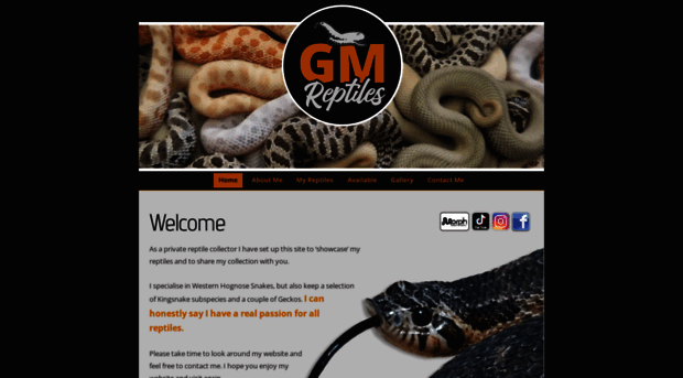 gmreptiles.co.uk