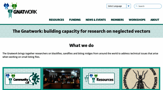 gnatwork.ac.uk