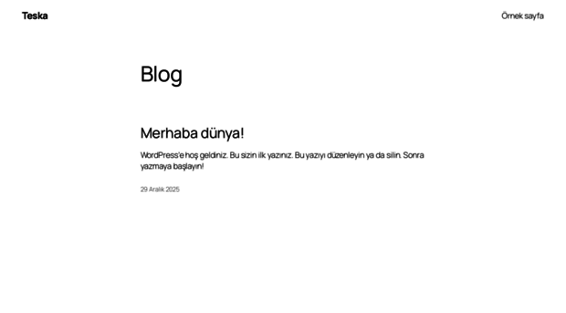 gnsproje.com