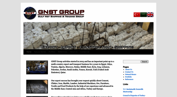 gnstgroup.com