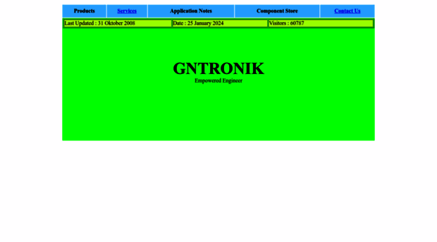 gntronik.com