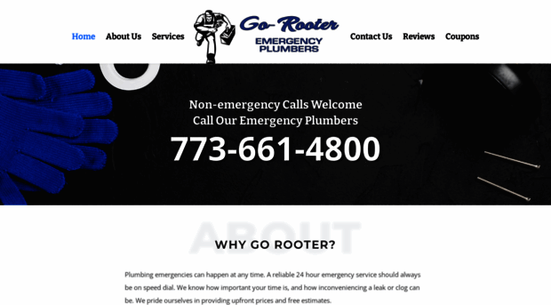 go-rooterplumbing.com