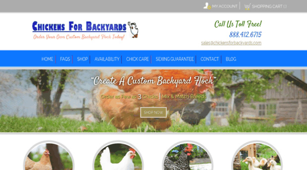 go.chickensforbackyards.com