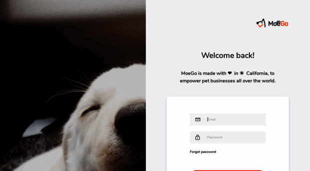 go.moego.pet