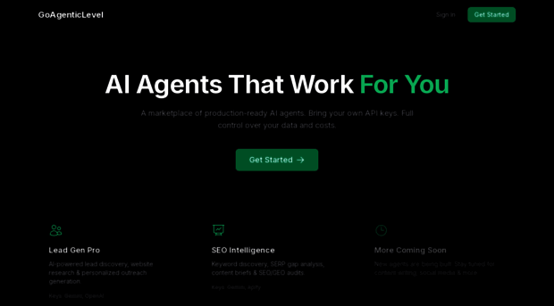 goagenticlevel.com