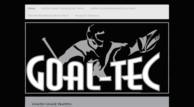 goaltechockeyacademy.com