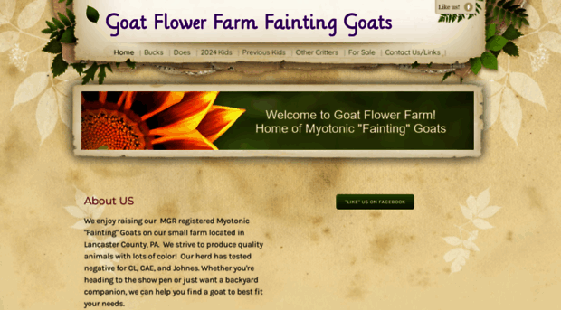 goatflowerfarm.com