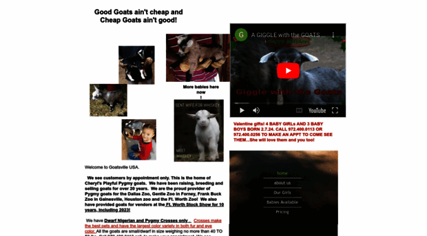 goatsvilleusa.homestead.com