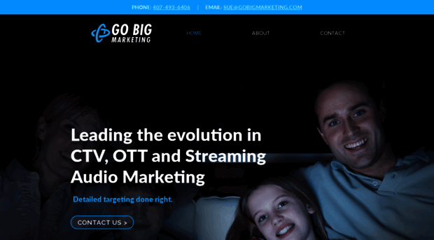 gobigmarketing.com