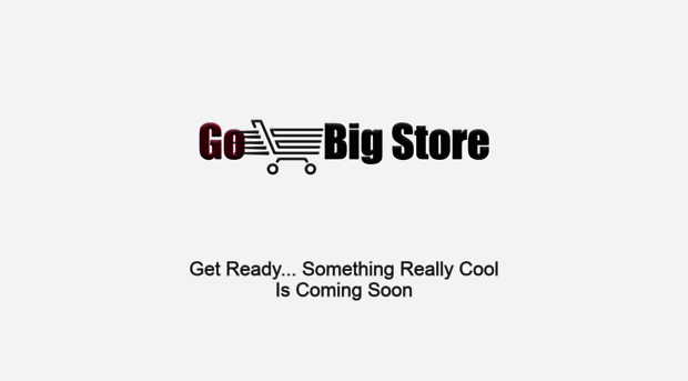 gobigstore.com