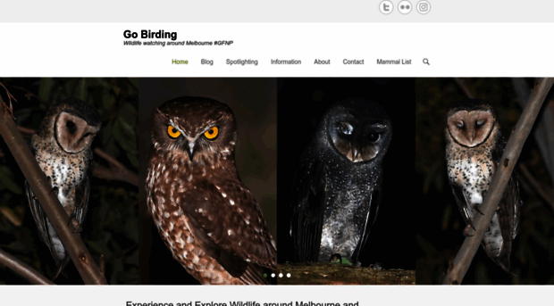 gobirding.com.au