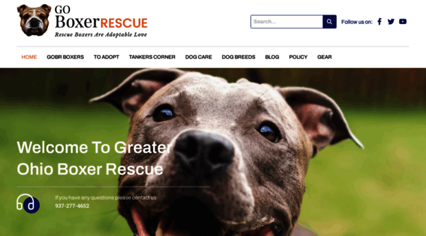 goboxerrescue.com