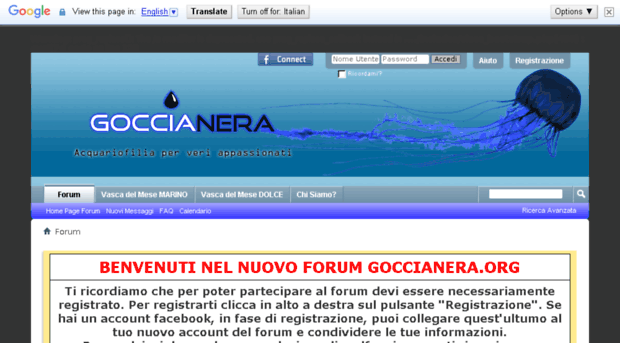 goccianera.org