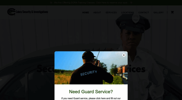 gocobrasecurity.com