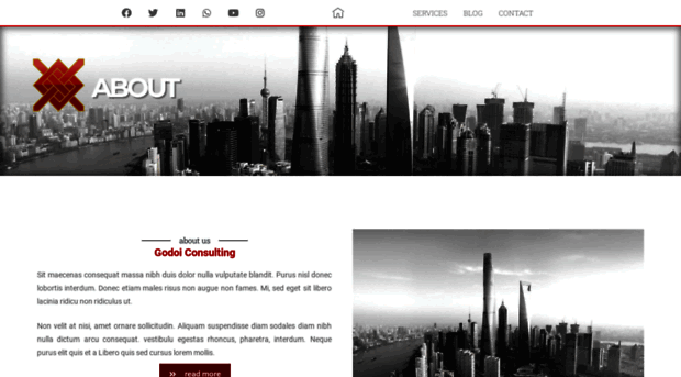 godoiconsulting.com