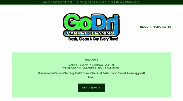 godricarpetclean.com