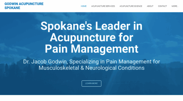 godwinacupuncture.com