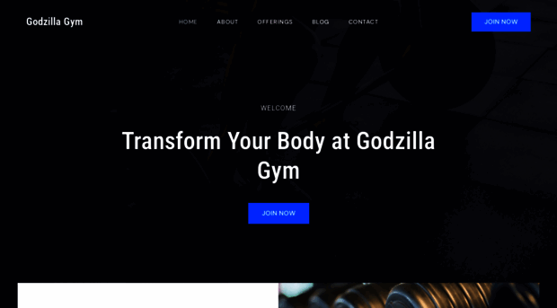 godzillagym.com