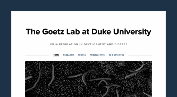 goetzlabduke.com