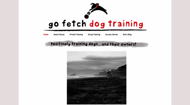 gofetchdogtraining.com