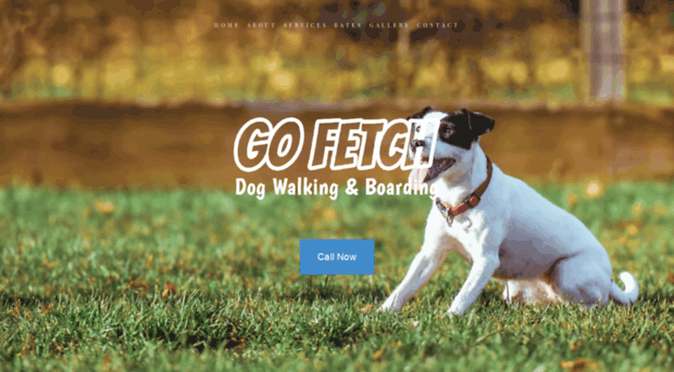 gofetchdogwalking.com.au