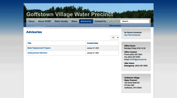 goffstownvillageprecinct.com