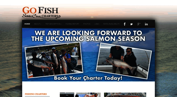 gofishsantacruzcharters.com