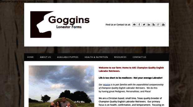 gogginslonestarfarms.com