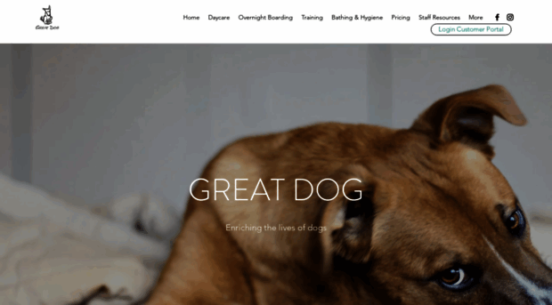 gogreatdog.com