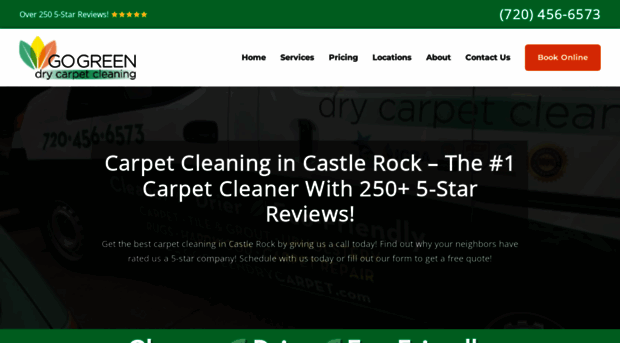 gogreendrycarpet.com