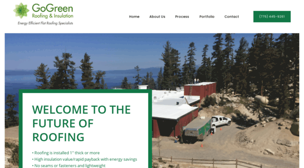 gogreenroofingwest.com