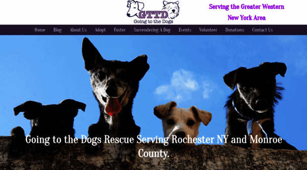 goingtothedogsrescue.org