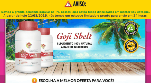 gojisbelt.net.br