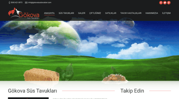 gokovasustavuklari.com