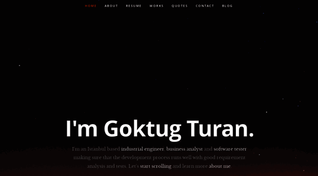 goktugturan.com