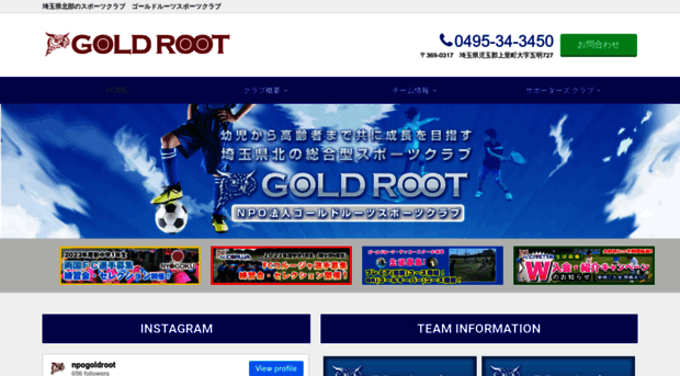 gold-root.com
