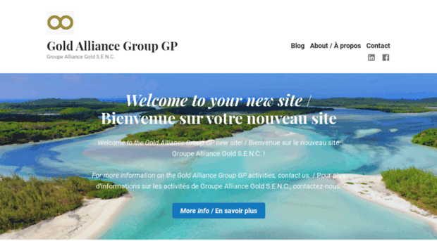 goldalliancegroup.com