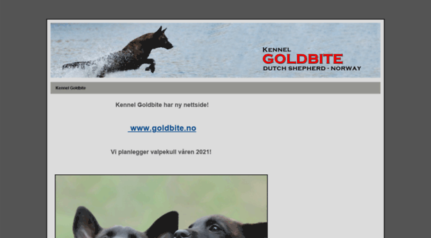 goldbite.webs.com