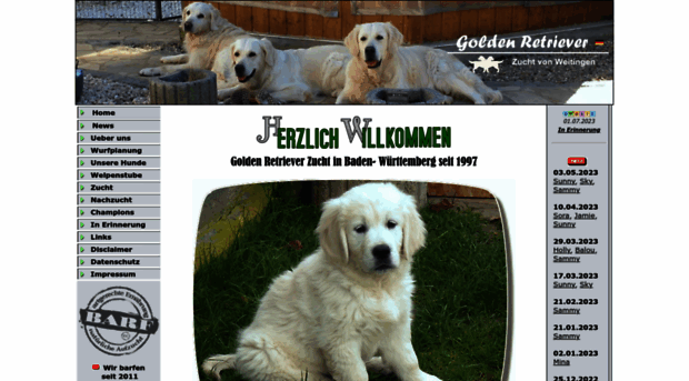 golden-retriever-hunde.de