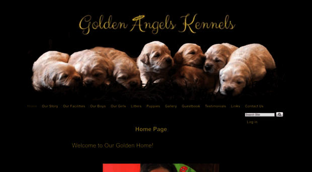 goldenangelskennels.com