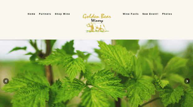 goldenbearwines.com