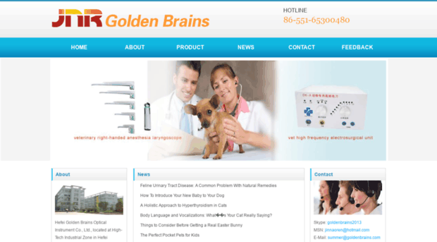 goldenbrains.com