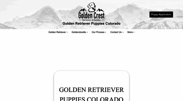 goldencrestretrievers.com